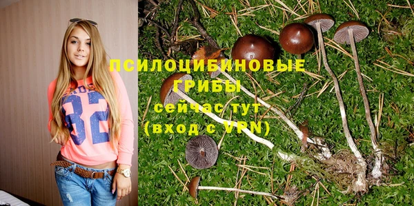 бутират Сатка