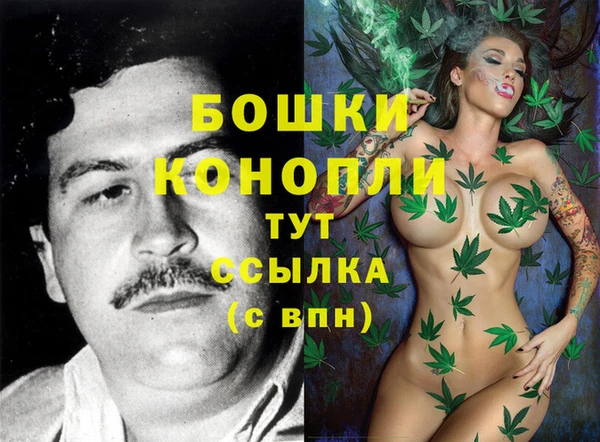 бутират Сатка