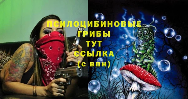 PSILOCYBIN Нижний Тагил