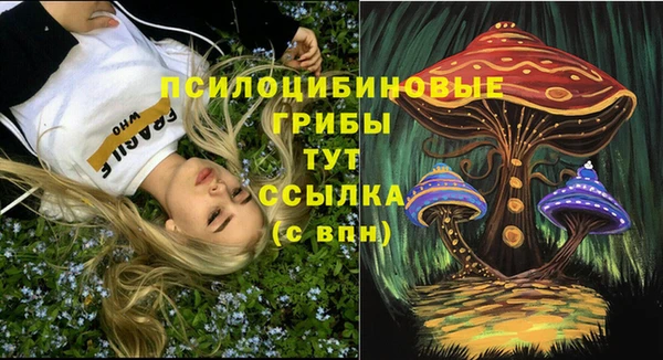 бутират Сатка
