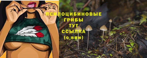 молекула духа Саяногорск