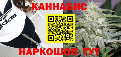 сатива Балаково