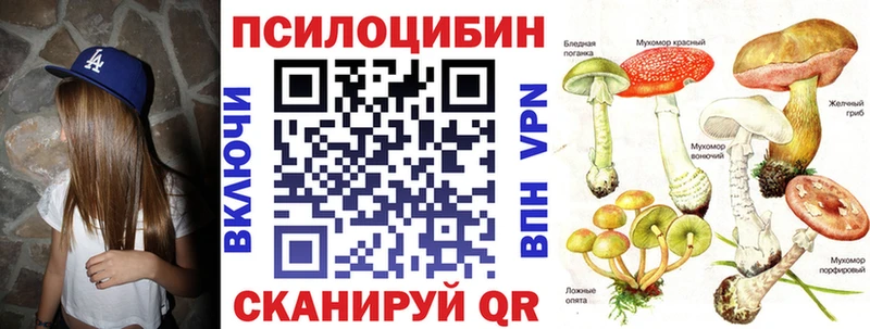 Галлюциногенные грибы Psilocybine cubensis  магазин продажи наркотиков  Электрогорск 