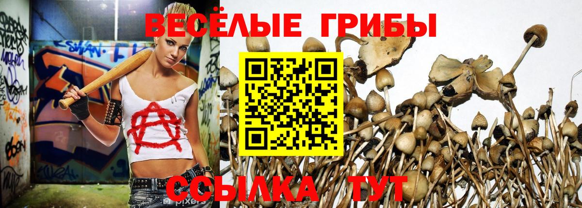 хочу   Галлюциногенные грибы прущие грибы  Вход с VPN  Электрогорск 