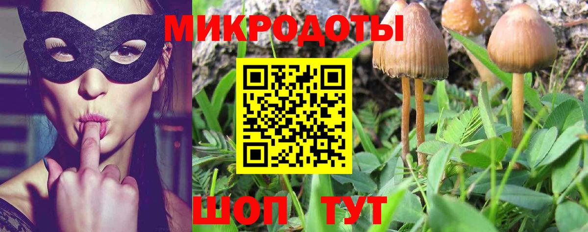 Галлюциногенные грибы ЛСД Электрогорск
